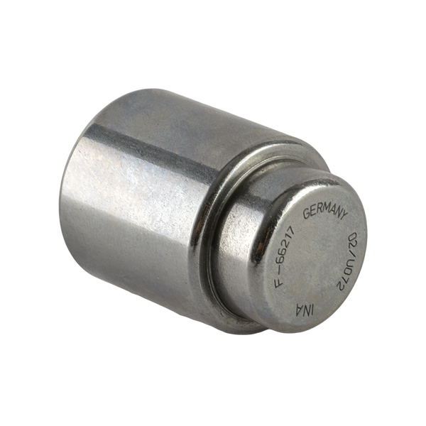 RODILLO ALTERNADOR P900 F66217